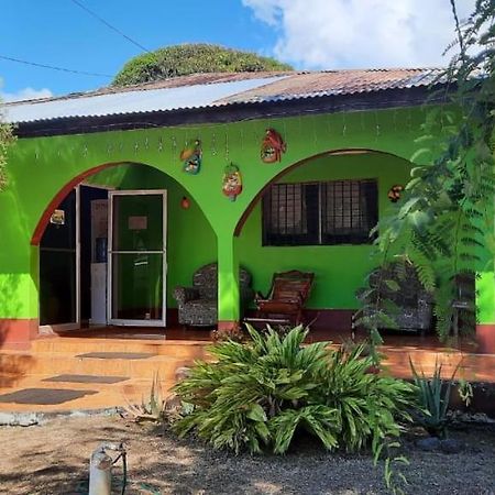 Hospedaje Tropical Dreams South End Экстерьер фото